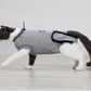 SafeSnug Pet Recovery Suit - Anti-Mite, Wound Protection for Cats