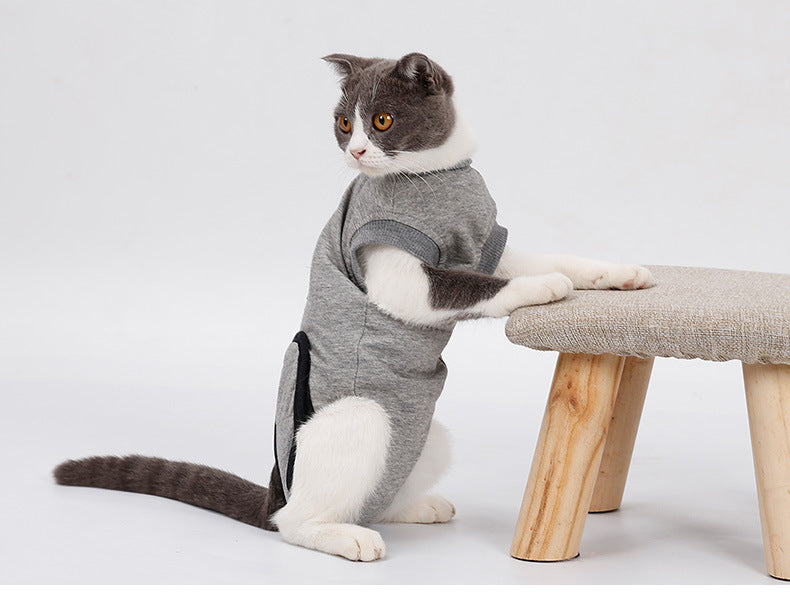 SafeSnug Pet Recovery Suit - Anti-Mite, Wound Protection for Cats