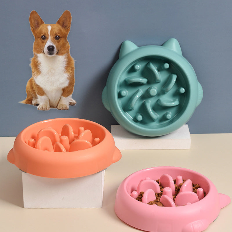 Slow Feeder Bowl for Dogs & Cats