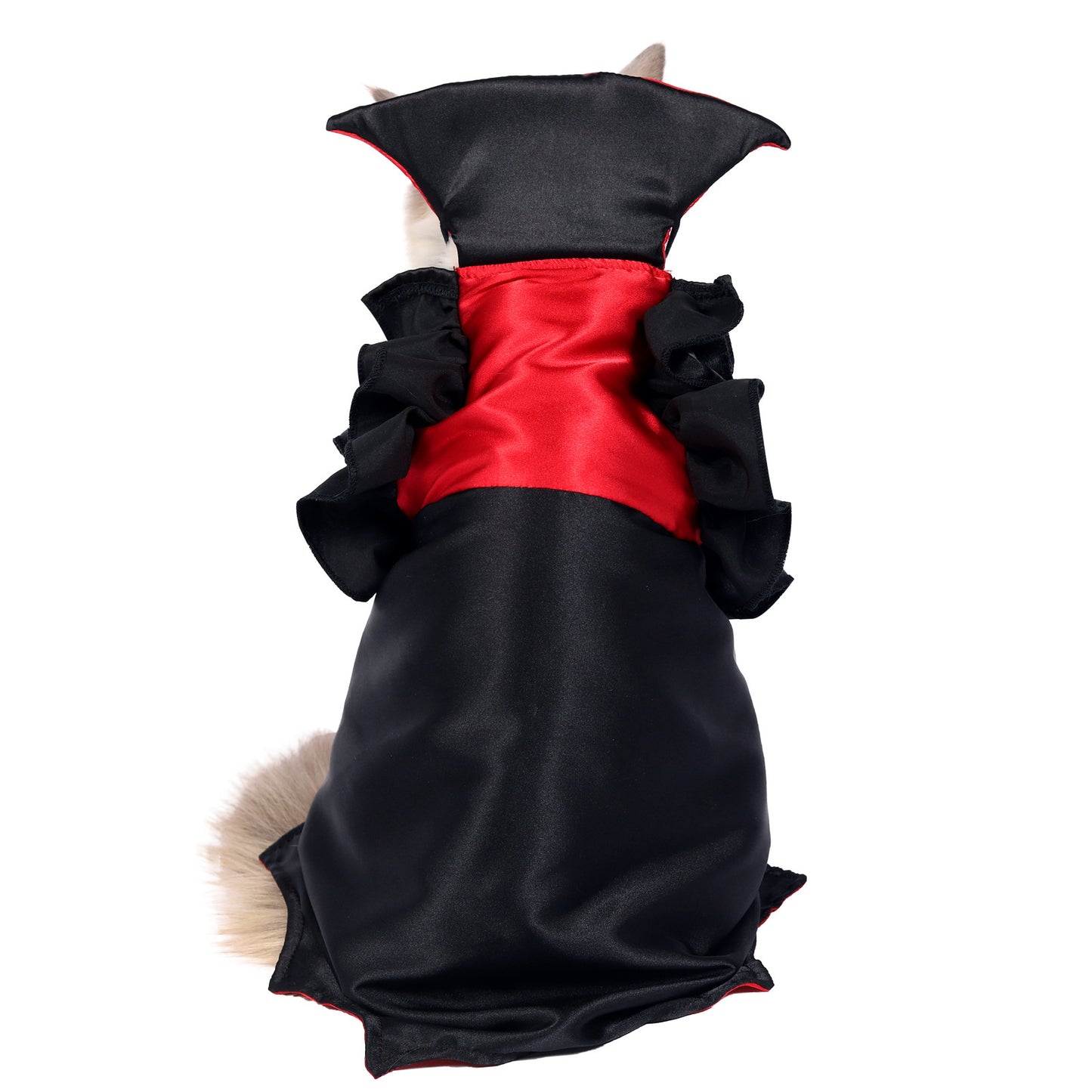 Cat Halloween Vampire Transformation Costume